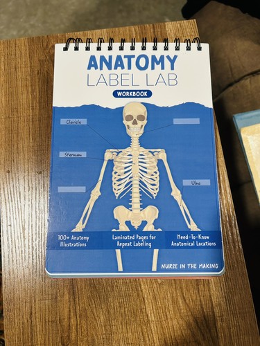 Anatomy label lab - label,